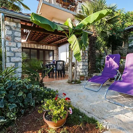 Lilac Kos Rovinj